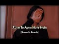 Apne To Apne Hote Hai ️ Lofi Song Bollywood ️ Dharmendra Full Movie Song ️ Apne To Apne Hote H