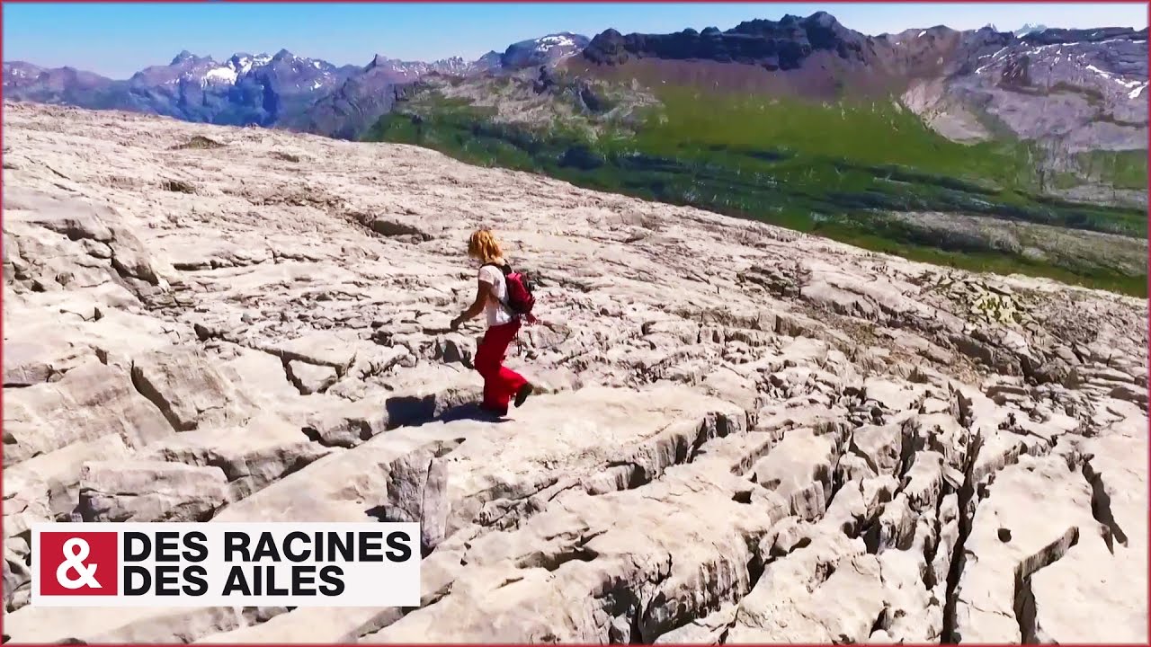 Vidéo externe