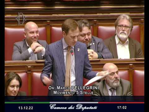 Marco Pellegrini Intervento in Aula - 13/12/2022