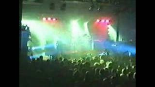 Pig - Everything (Live)