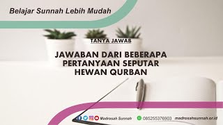 Jawaban Dari Beberapa Pertanyaan Seputar Hewan Qurban