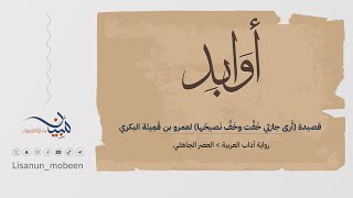 صورة قصيدة (أَرى جارَتي خَفَّت وخَفَّ نَصيحُها) لعمرو بن قَمِيئة البكري