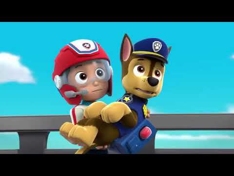 Ryder Holds Chase Paw Patrol.