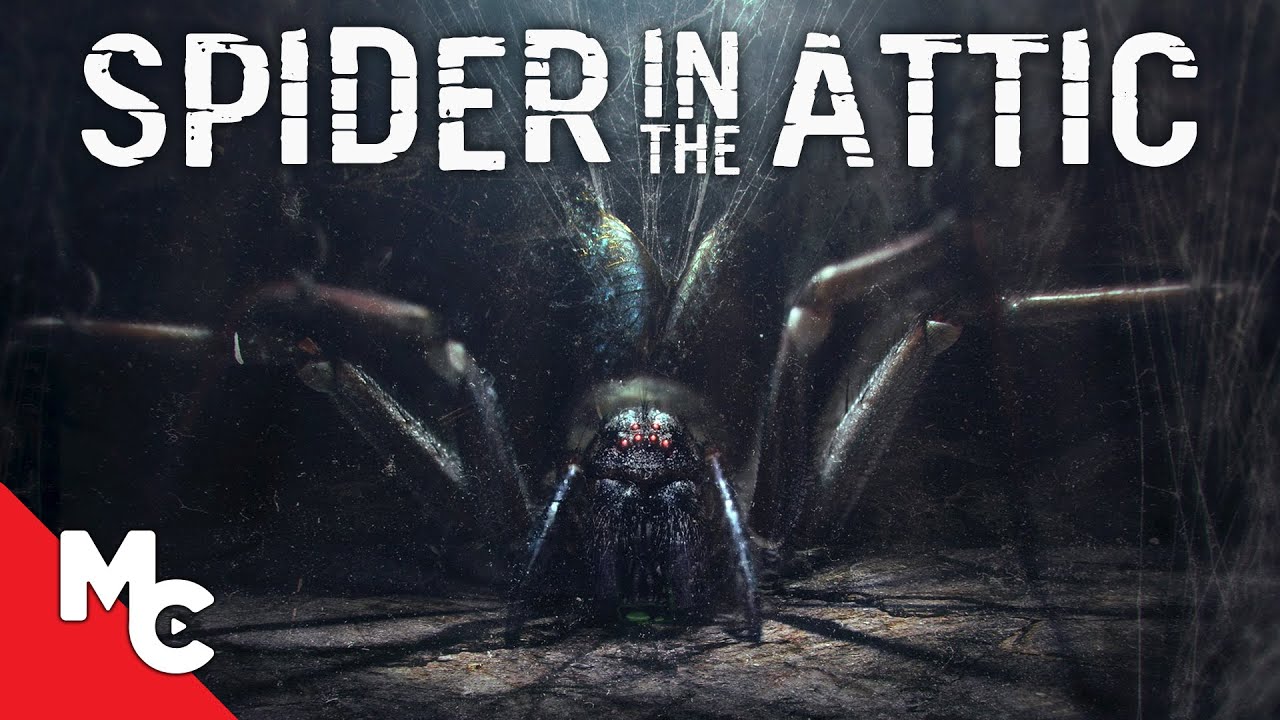 Spider in the Attic (2021)