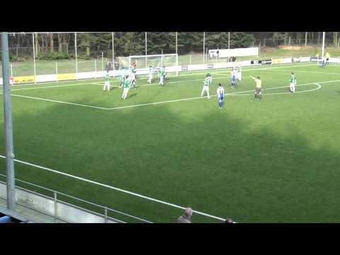 Samenvatting VVOG - WHC