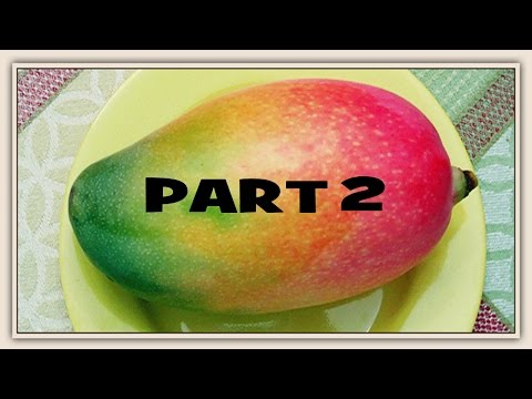 ⟹ Valencia Pride mango | STARTING FROM A SEED | PART 2