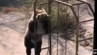 Download lagu KATABABA mp3