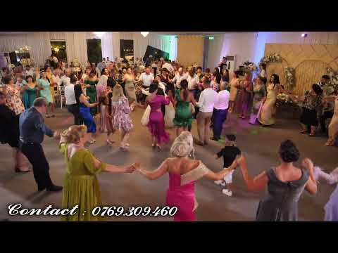 Muzica de Petrecere cu Mircea Mondialu