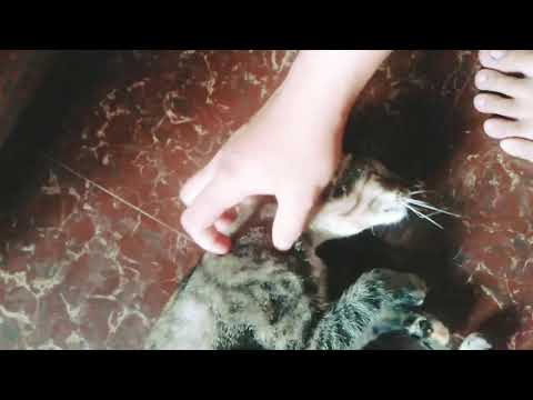 Keanna want some massage...♥