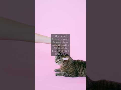 The Feline Food Litmus Test Separating Safe from Toxic TreatsAs any cat parent knows...