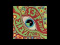 13th Floor Elevators - Tried To Hide [Audiophile Edition]