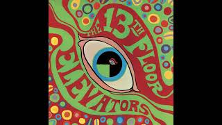 13th Floor Elevators - Tried To Hide [Audiophile Edition]