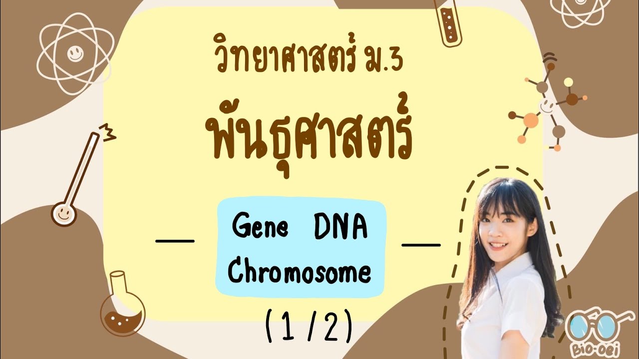 สรุป พันธุศาสตร์ ม.3 - Gene DNA Chromosome (1/2) | Bio-oei