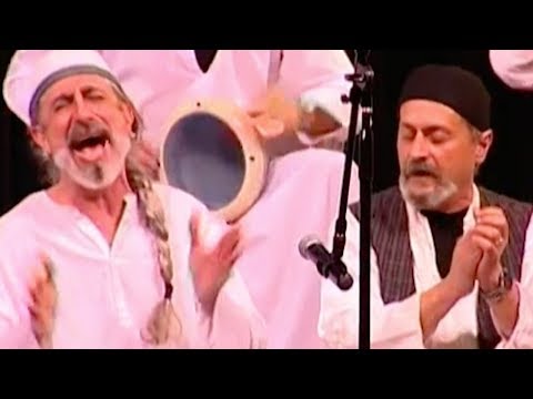 Peshawar Ensemble - Out Of The Cage | Vahe Berberian