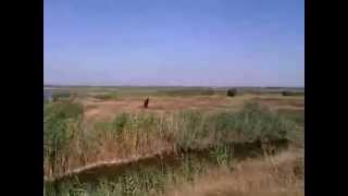 Озера для рыбалки в одесской области