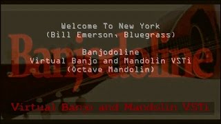 Octave Mandolin VST: Welcome To New York (Bill Emerson, Bluegrass) Syntheway Banjodoline VSTi
