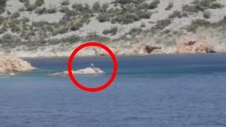Download lagu Real Mermaid caught on camera in Mallorca, Spain on 10/20/2013 mp3
