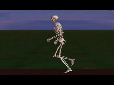 Comprendre la réparation osseuse / Hervé Petite