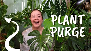 Houseplant Collection Clean Out | PURGE Tour