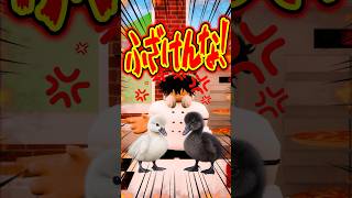 【感動】黒いヒナをゴミ箱へ！？最低なハルトが命がけで守ったワケ… #roblox #ロブロックス #マイクラ  #shorts