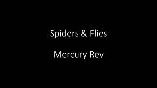 Mercury Rev- Spiders &amp; Flies (cover)
