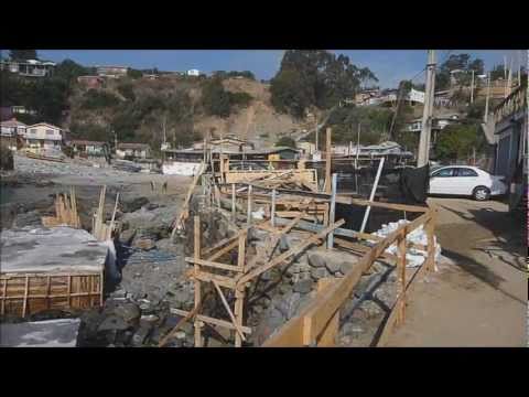 05 Falconers Quintay 20 03 2011