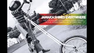 Shove It (Switch Remix) - Santogold