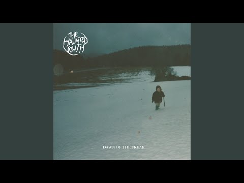 Fist In My Pocket - The Haunted Youth