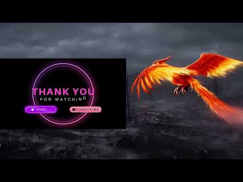 Flying Fish: Bad Luck in the Air 🐟💨😬