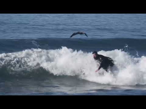 Knocking off the cobwebs 🕸️ on a COLE twin