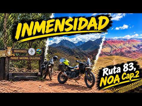 La RUTA más LINDA del NORTE ARGENTINO-Calilegua y Santa Ana- Ruta 83, Jujuy-SELVA y PUNA - NOA Cap 2