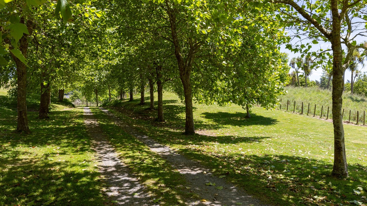 Live Beautifully. Live Totally Off-Grid