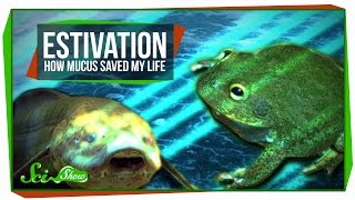 Estivation: How Mucus Saved My Life