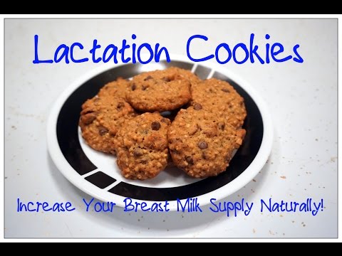 download lagu mp3 mp4 Oatmeal Chocolate Chip Lactation Cookies Recipe From La Leche League, download lagu Oatmeal Chocolate Chip Lactation Cookies Recipe From La Leche League gratis, unduh video klip Oatmeal Chocolate Chip Lactation Cookies Recipe From La Leche League