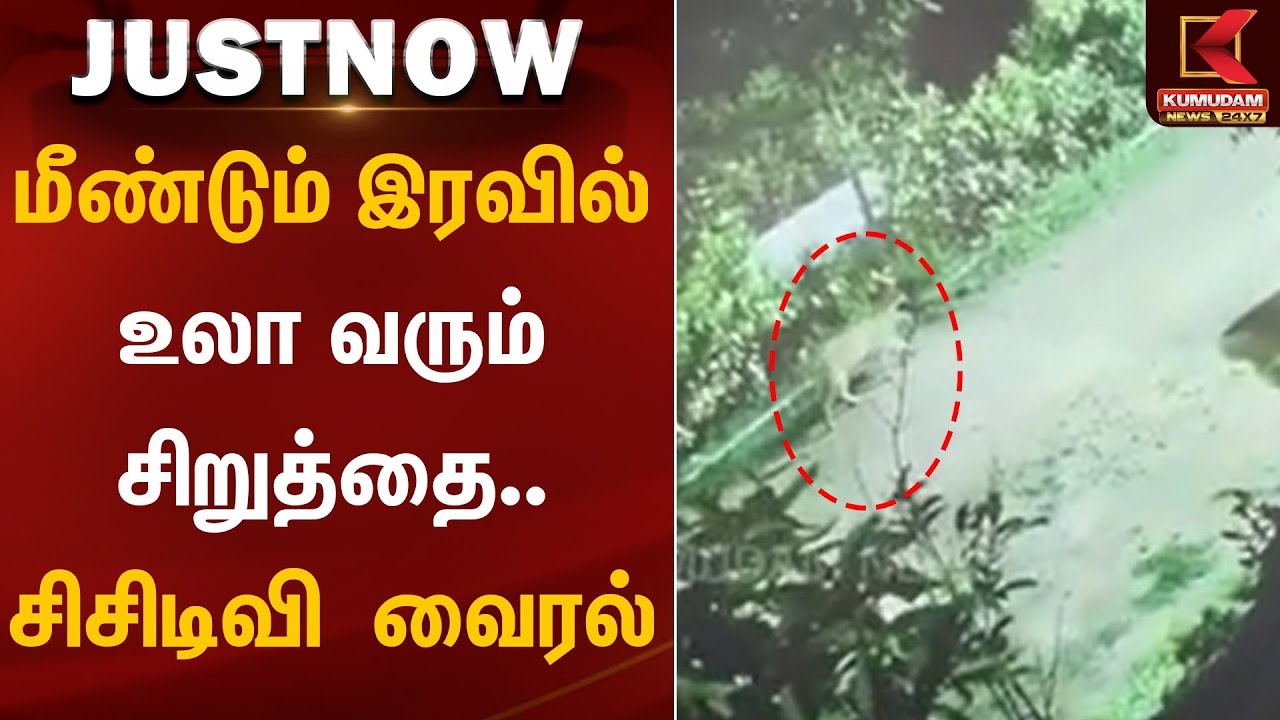 மீண்டும் இரவில் உலாவரும் சிறுத்தை.. சிசிடிவி காட்சிகள் வைரல் | Coimbatore | CCTV | Forest Dept