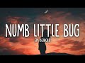 Em Beihold - Numb Little Bug (Lyrics) Em Beihold - Numb Little Bug (Lyrics)