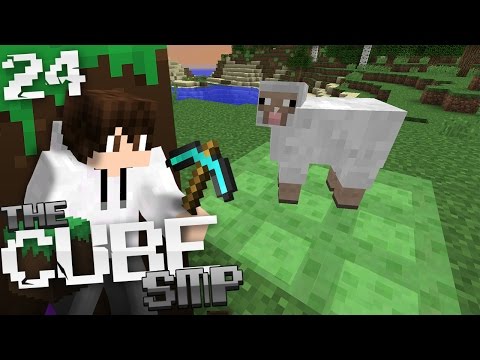 Minecraft Cube SMP: E24 - Sheep Trampoline!