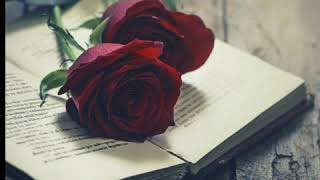 Download lagu Indah Dewi Pertiwi - MeninggalkanMu || Lyric Video mp3