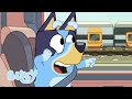 Train Race Bluey Season 2 Highlight Road Trip Bluey