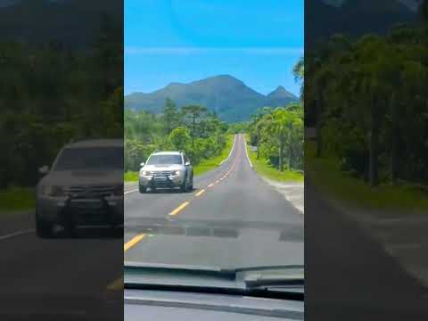 PR-410 Quatro Barras-Paraná #nature #travel #turismo #automobile #shorts #paisagem #estrada #paraná