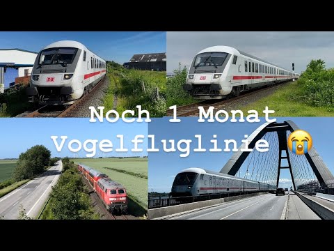 Noch 1 Monat Vogelfluglinie mit Diesel 🥺😭