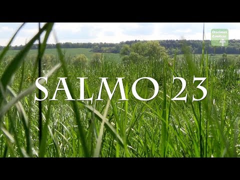 The Lord is my Pastor in SPANISH | Psalm 23 | CATHOLIC PRAYERS