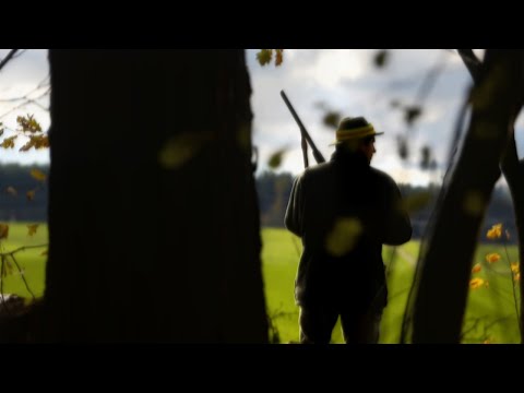 Ewiger Streit mit Tierschützern: Jäger prangern Internethetze an