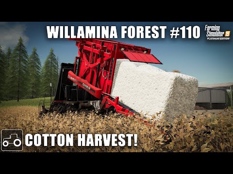 Final Cotton Harvest & Selling Eggs, Willamina Forest #110 Farming Simulator 19 Timelapse