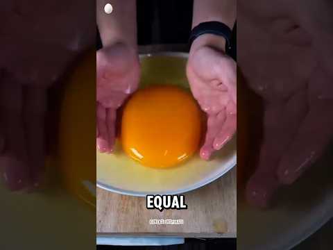 Cracking the World’s Largest Egg! What’s Inside an Ostrich Egg?