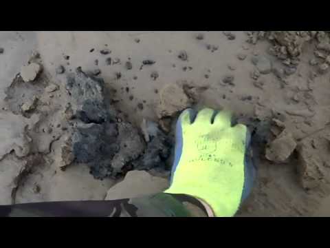 Eurotec Pro with 5" NEL coil at the beach