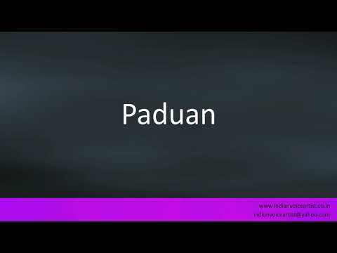 How to pronounce "Paduan".