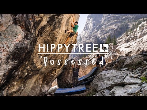HippyTree / Possessed