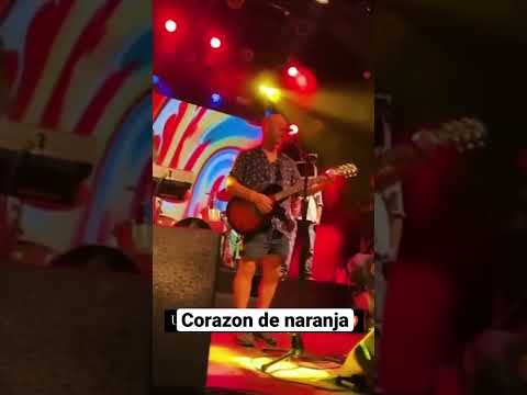 Corazon De Naranja - Arbol