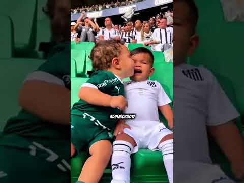 Palmeiras e Santos #palmeiras #santosfc #futebol #memesdefutebol #meme #demoro017